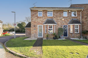 Photo 17- click for photo gallery